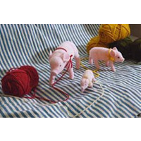 _g DULTON uAIuWF CeA u^ ~ju^ qu^ S 2CZbg M151-19S Flocked pig set of 2